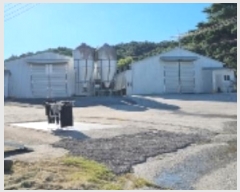  2024Ÿ980   ۵ ۻ 481      ()