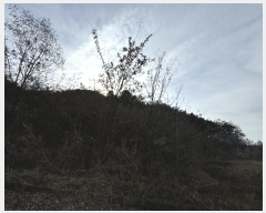  2024Ÿ��1082 ���� ������ ����� ���̸� ��38-1      ����(�Ӿ�)���