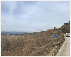  2024Ÿ��1082 ���� ������ ����� ���̸� ��38-1      ����(�Ӿ�)���