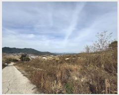  2024Ÿ��1082 ���� ������ ����� ���̸� ��38-1      ����(�Ӿ�)���