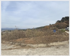  2024Ÿ��1082 ���� ������ ����� ���̸� ��38-1      ����(�Ӿ�)���