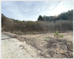  2024Ÿ��1082 ���� ������ ����� ���̸� ��38-1      ����(�Ӿ�)���