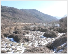  2024Ÿ31762  â  â 11      ()