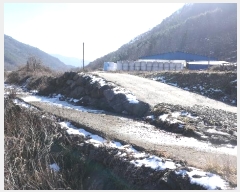  2024Ÿ31762  â  â 11      ()