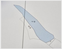  2024Ÿ31762  â  â 11      ()