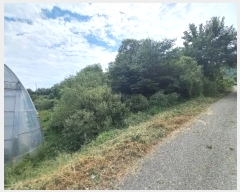  2024Ÿ��775 ���� ����� �賲�� ħ� 1364-10      ���(�󰡽ü�)���