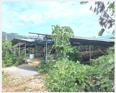  2024Ÿ��775 ���� ����� �賲�� ħ� 1364-10      ���(�󰡽ü�)���