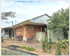  2024Ÿ��775 ���� ����� �賲�� ħ� 1364-10      ���(�󰡽ü�)���