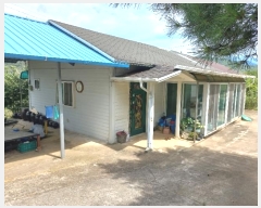  2024Ÿ��775 ���� ����� �賲�� ħ� 1364-10      ���(�󰡽ü�)���