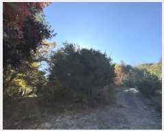  2024Ÿ��1051  �Ӿ߰��