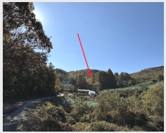  2024Ÿ��1051  �Ӿ߰��