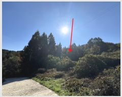  2024Ÿ��1051  �Ӿ߰��