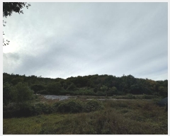  2024Ÿ��31441 ���� ����� ��ϸ� ���̸� ��41-1      ����(�Ӿ�)���