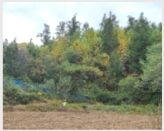  2024Ÿ��31441 ���� ����� ��ϸ� ���̸� ��41-1      ����(�Ӿ�)���