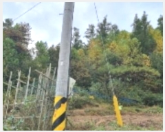  2024Ÿ��31441 ���� ����� ��ϸ� ���̸� ��41-1      ����(�Ӿ�)���