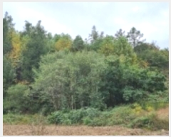  2024Ÿ��31441 ���� ����� ��ϸ� ���̸� ��41-1      ����(�Ӿ�)���