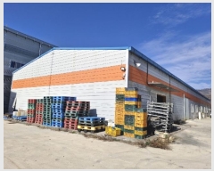  2024Ÿ��31489  ������