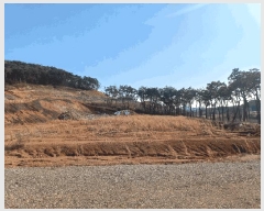  2024Ÿ31632  â ȴ û踮 1-1      (Ӿ)