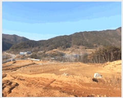  2024Ÿ31632  â ȴ û踮 1-1      (Ӿ)