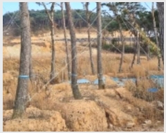  2024Ÿ31632  â ȴ û踮 1-1      (Ӿ)