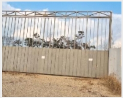  2024Ÿ31632  â ȴ û踮 1-1      (Ӿ)