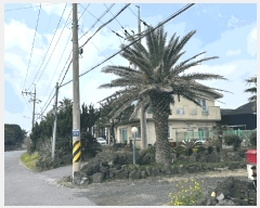  2024Ÿ��1608 ���� �������� ǥ���� ǥ���� 1301      �������