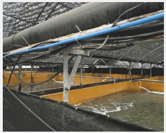  2024Ÿ��1608 ���� �������� ǥ���� ǥ���� 1301      �������