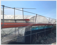  2024Ÿ��4805 ���� �������� ������ �Ϸʸ� 449      ����(������)���