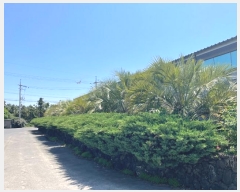  2024Ÿ��5129 ���� ���ֽ� ������ 227-1       ����,â�����