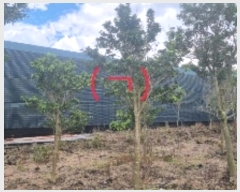  2024Ÿ7194  ֽ õ 긮 1965-1      (1)