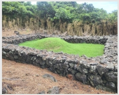  2024Ÿ7194     911      (Ӿ)