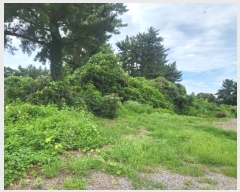  2024Ÿ7194     911      (Ӿ)