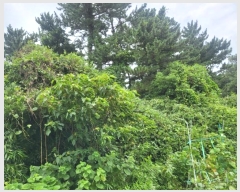  2024Ÿ7194     911      (Ӿ)