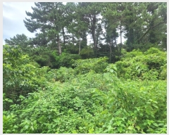  2024Ÿ7194     911      (Ӿ)