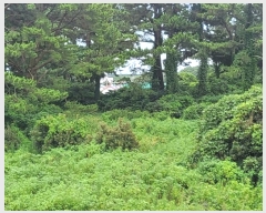  2024Ÿ7194     911      (Ӿ)