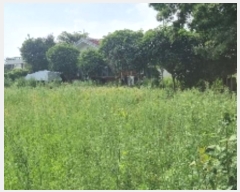  2024Ÿ��8678 ���� �������� ���� 730-1       ���ð��