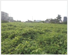  2024Ÿ��8777 ���� ���ֽ� �Ѹ��� ���縮 1533-1      ����(��1)���