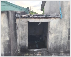  2024Ÿ9305    õ 222      ()