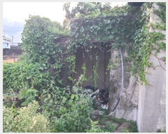  2024Ÿ9305    õ 222      ()