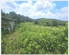  2024Ÿ9770   ȴ âõ 926-1      (1)