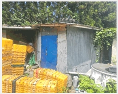  2024Ÿ��9770  ���ð��