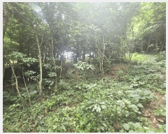  2024Ÿ9770   ȴ âõ 926-1      (1)