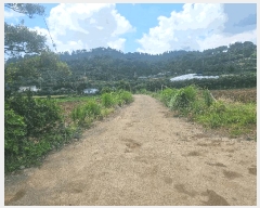  2024Ÿ9770   ȴ âõ 926-1      (1)