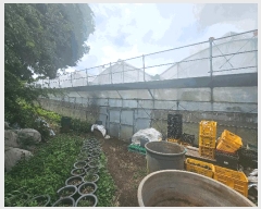  2024Ÿ9770   ȴ âõ 926-1      (1)