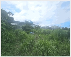  2024Ÿ9770   ȴ âõ 926-1      (1)