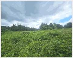  2024Ÿ9770   ȴ âõ 926-1      (1)