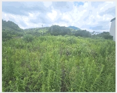  2024Ÿ9770   ȴ âõ 926-1      (1)