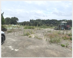  2024Ÿ9930     1733-1      (1)