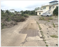  2024Ÿ9930     1733-1      (1)