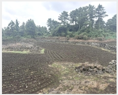  2024Ÿ9930     1733-1      (1)